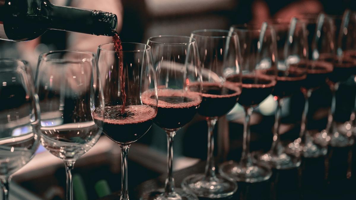 Guía de Cata de Vinos