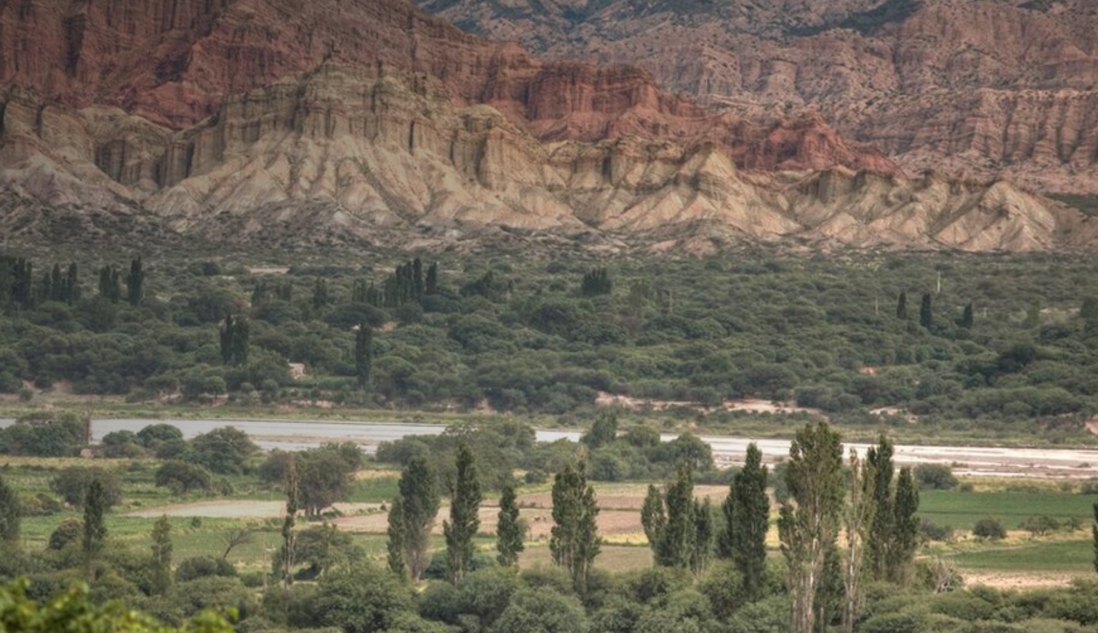 Banner de Bemberg Estate Wines