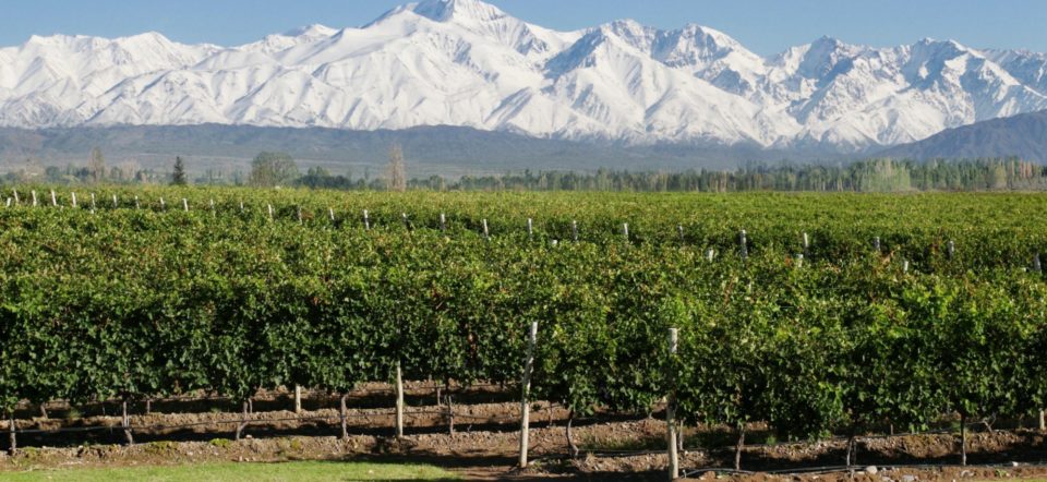 Banner de Bodega Estancia Mendoza