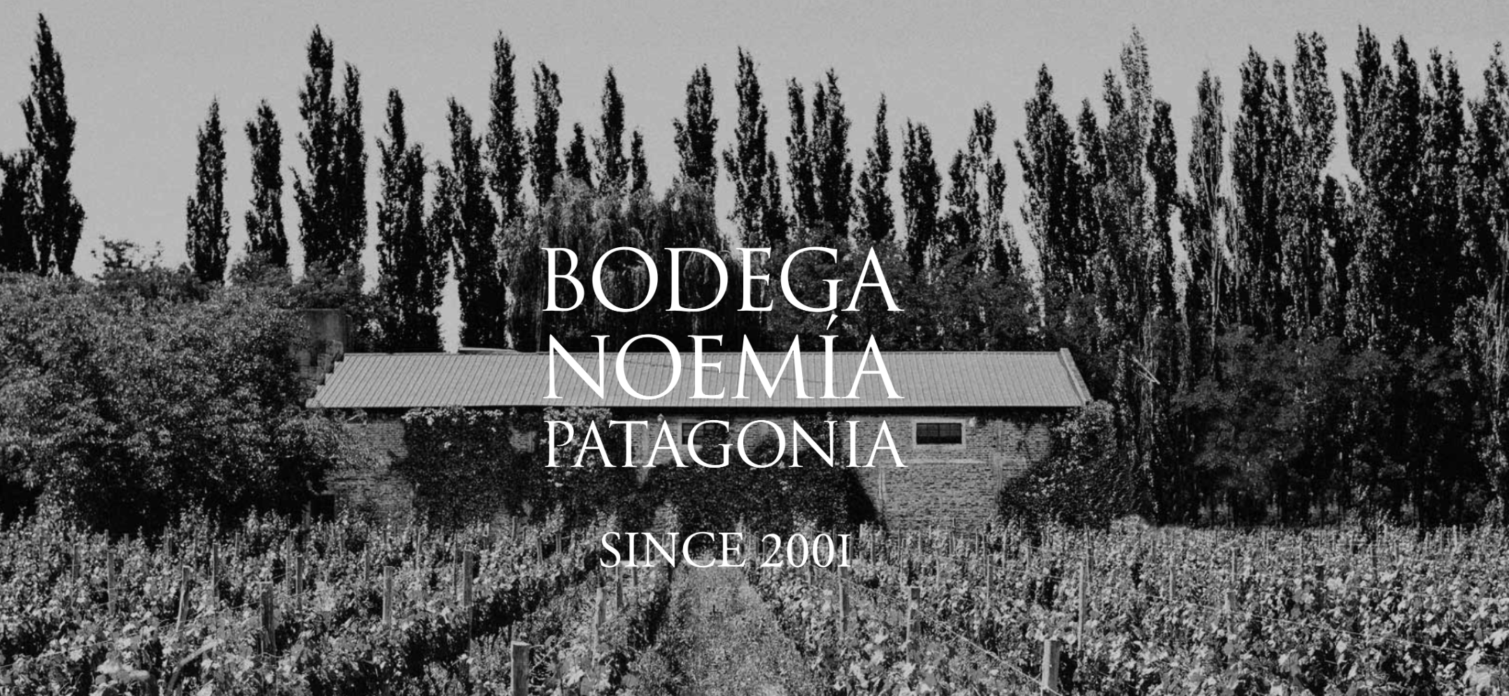 Banner de Bodega Noemía Patagonia