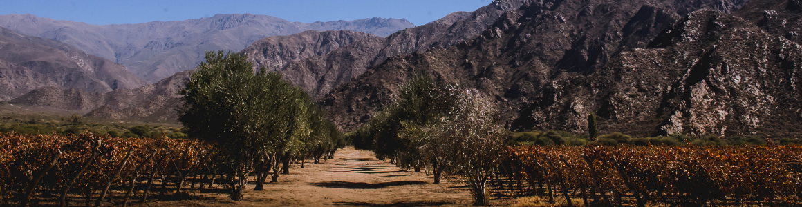 Banner de Bodega Tukma