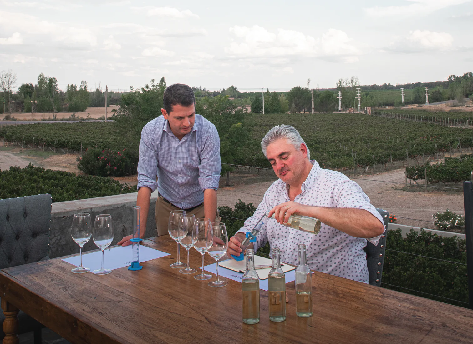 Imagen 2 de Bodegas Bianchi