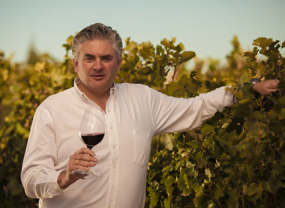 Imagen 4 de Bodegas Bianchi
