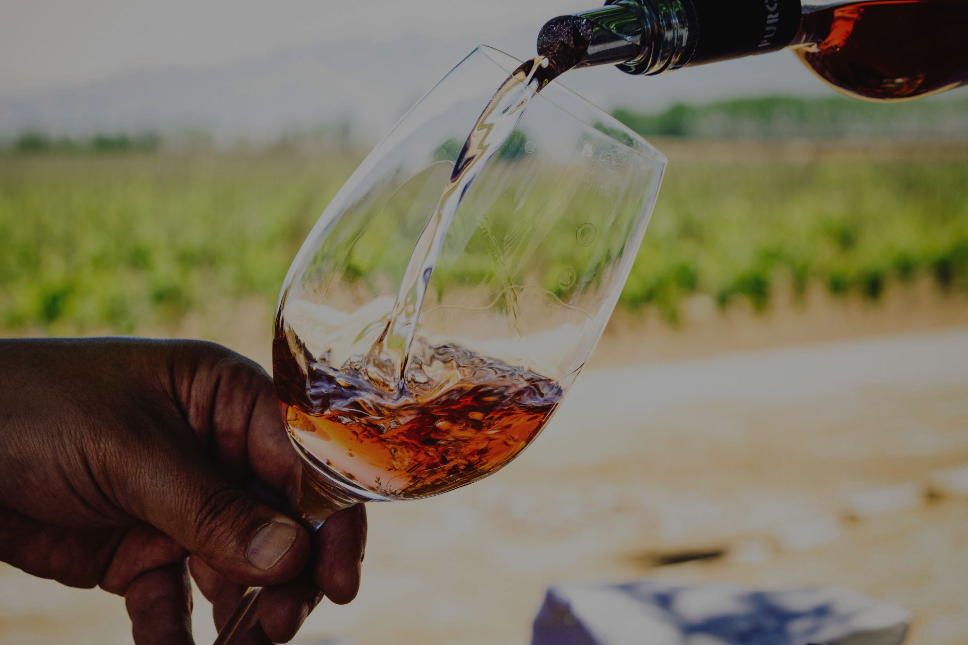 Banner de Dieter Meier and Family Wines
