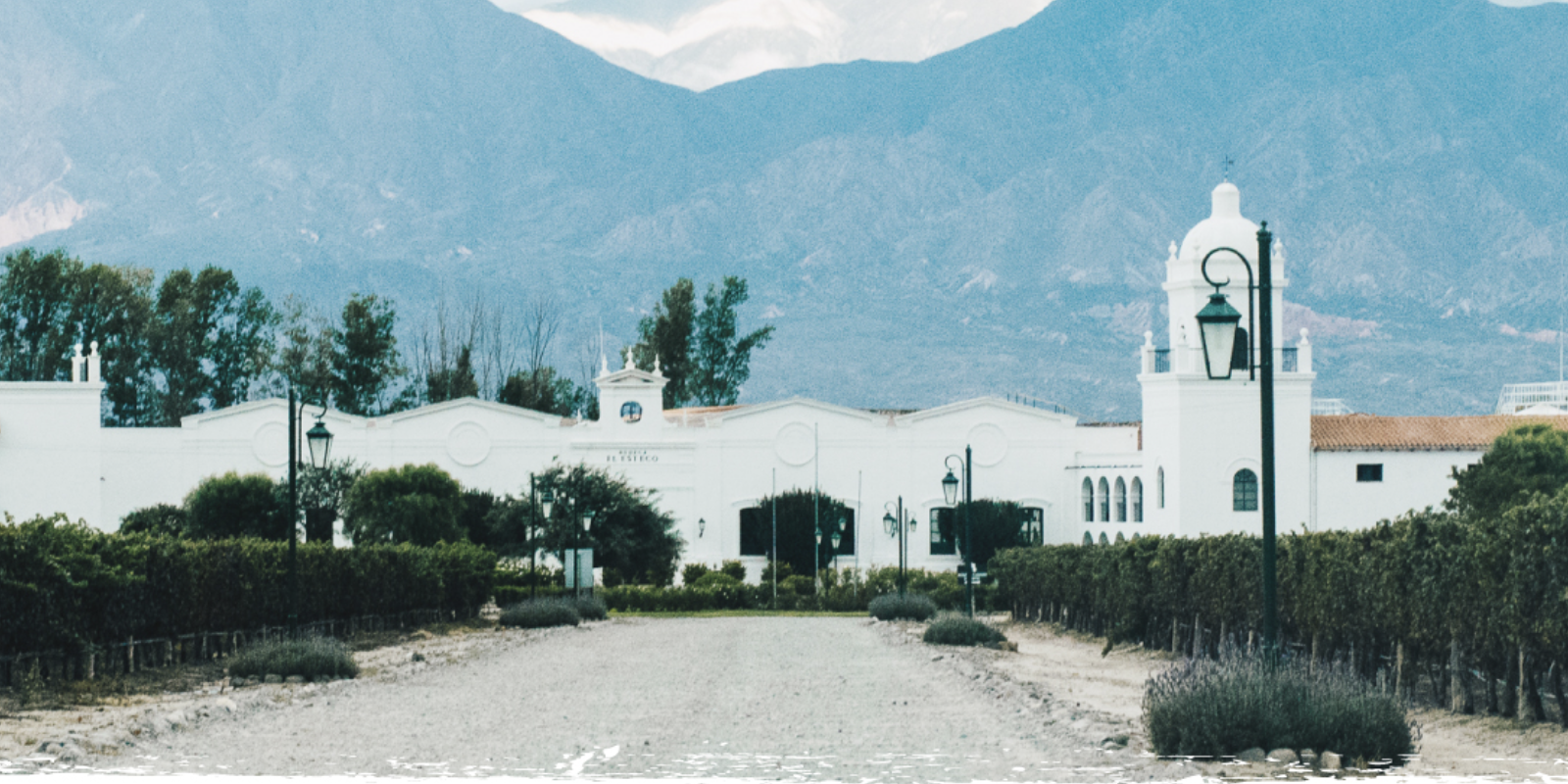 Banner de El Esteco