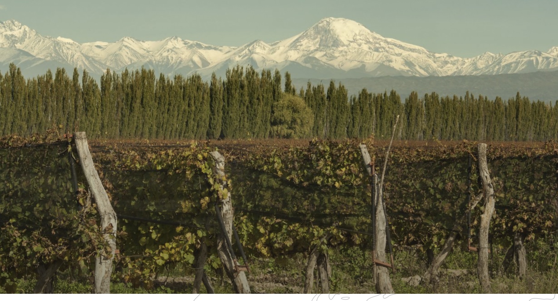 Banner de Finca La Anita