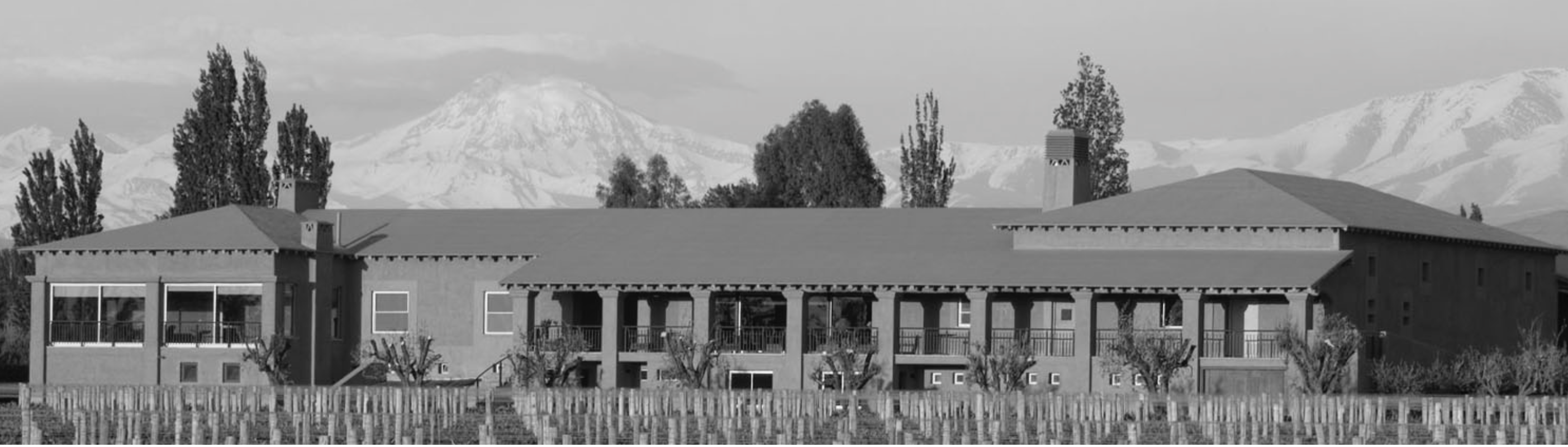 Banner de Finca y Bodega Vistalba