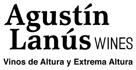 Logo de Agustín Lanús
