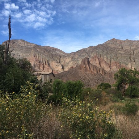 Viñedos de Salta