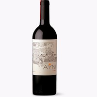 Ayni Malbec 2024
