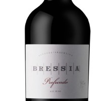 Bottle of Bressia Profundo Blend