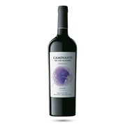 Botella de Caminante de los Mundos Malbec Bio