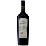 Botella de FINCA GABRIEL Malbec